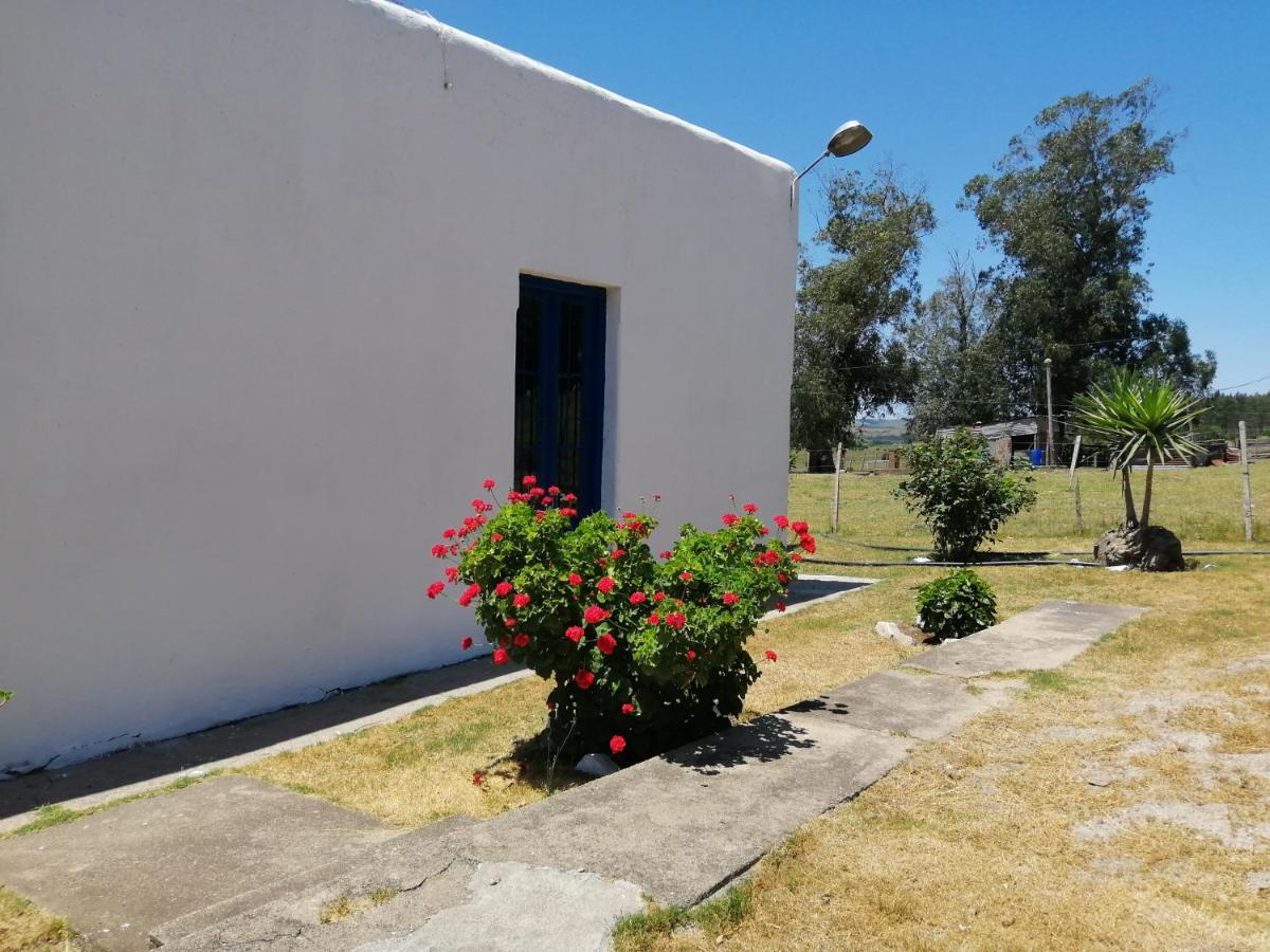 Maison d'hôtes La Chacra à Minas Extérieur photo